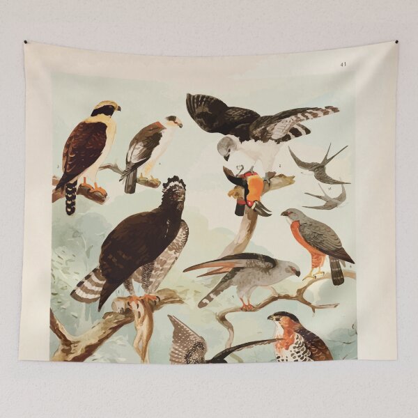 Item preview, Birds of the Amazon Album de aves amazonicas Emil Goldi 1906 043 Gavioes designed and sold by WetdryvacRB01.