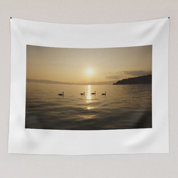 Item preview, swans at sunset lake ohrid macedonia designed and sold by distracted.
