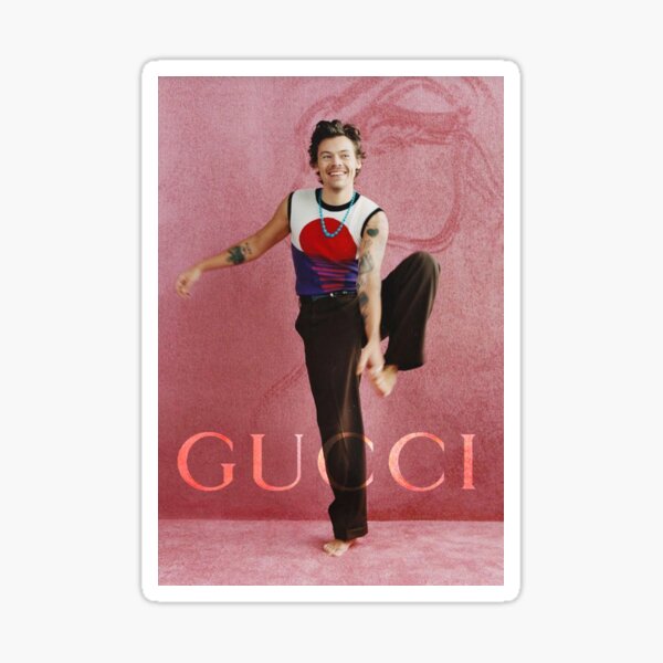 HARRY x DESIGNER Sticker