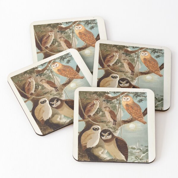 Item preview, Birds of the Amazon Album de aves amazonicas Emil Goldi 1906 044 Corujas designed and sold by WetdryvacRB01.