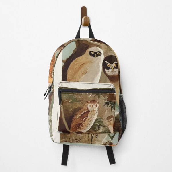 Item preview, Birds of the Amazon Album de aves amazonicas Emil Goldi 1906 044 Corujas designed and sold by WetdryvacRB01.