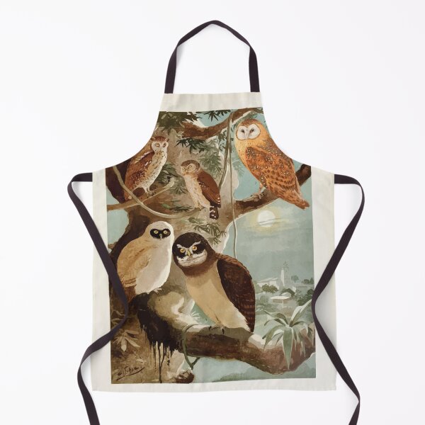 Item preview, Birds of the Amazon Album de aves amazonicas Emil Goldi 1906 044 Corujas designed and sold by WetdryvacRB01.