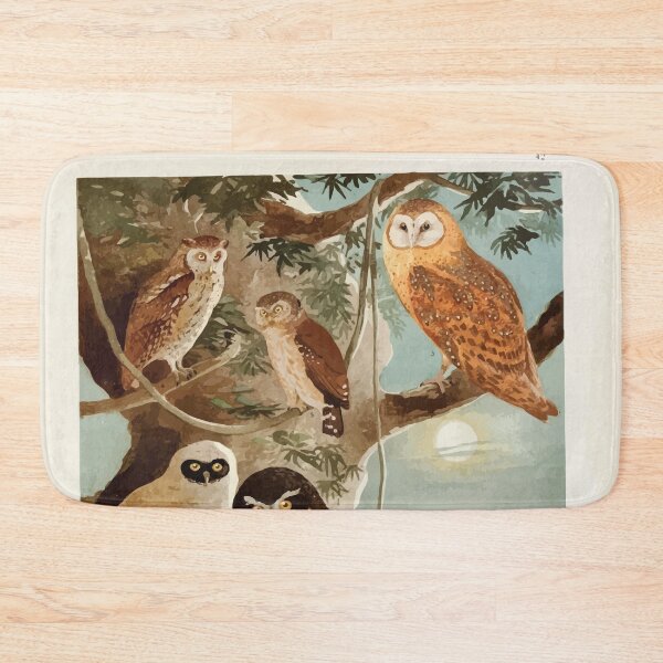 Item preview, Birds of the Amazon Album de aves amazonicas Emil Goldi 1906 044 Corujas designed and sold by WetdryvacRB01.