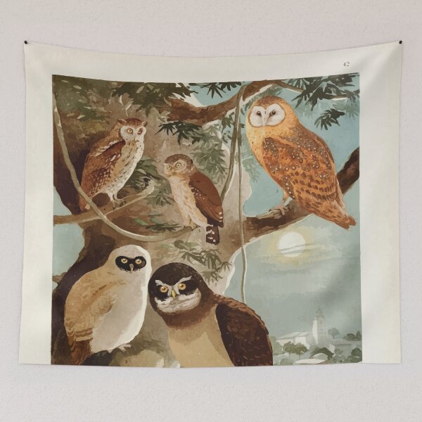 Item preview, Birds of the Amazon Album de aves amazonicas Emil Goldi 1906 044 Corujas designed and sold by WetdryvacRB01.