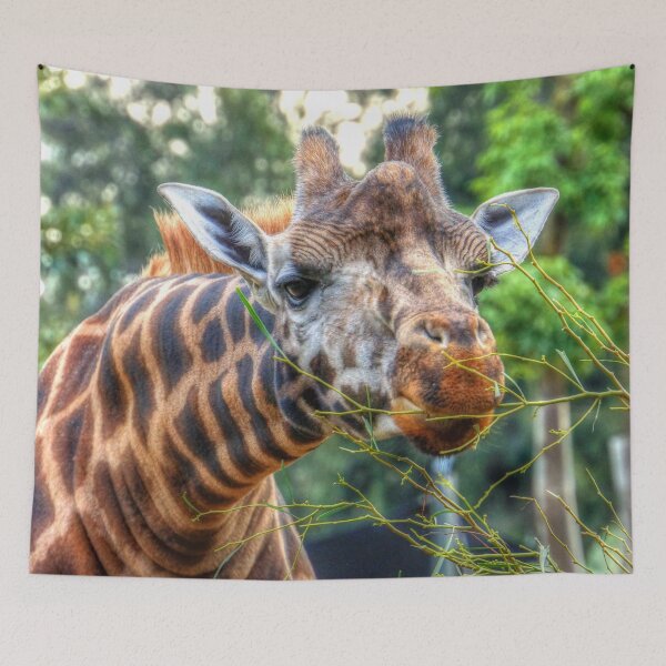 Item preview, Giraffe Reaching for a Bite to Eat designed and sold by Steven Jodoin.