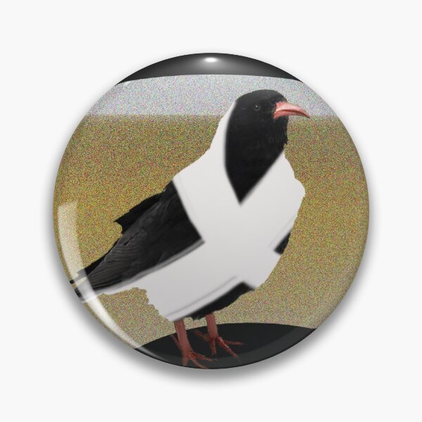 Item preview, Cornish Choughs on the Beach designed and sold by colemanco.