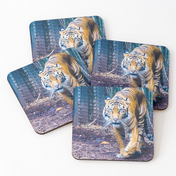 Item preview, Tiger on the Prowl designed and sold by Steven Jodoin.