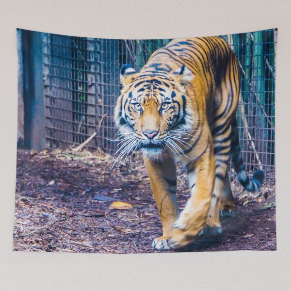 Item preview, Tiger on the Prowl designed and sold by Steven Jodoin.