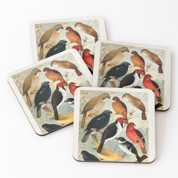 Item preview, Birds of the Amazon Album de aves amazonicas Emil Goldi 1906 045 Trinca ferro Azulao Cardeal Gall do mata Serra serra Canario Colleiro Cigarra designed and sold by WetdryvacRB01.