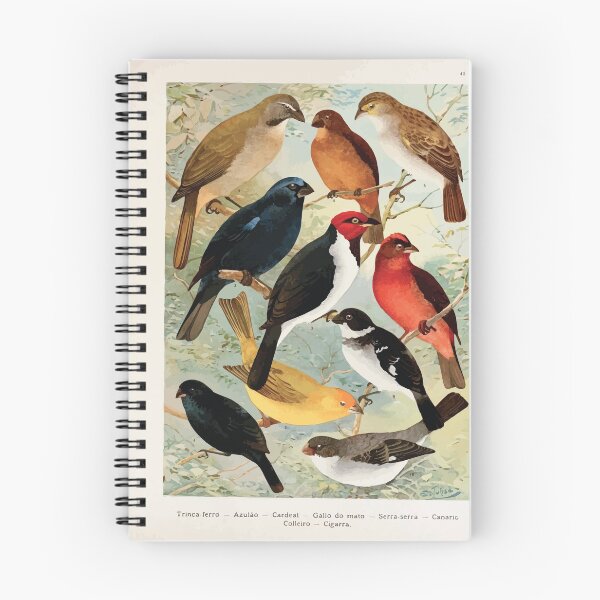 Item preview, Birds of the Amazon Album de aves amazonicas Emil Goldi 1906 045 Trinca ferro Azulao Cardeal Gall do mata Serra serra Canario Colleiro Cigarra designed and sold by WetdryvacRB01.