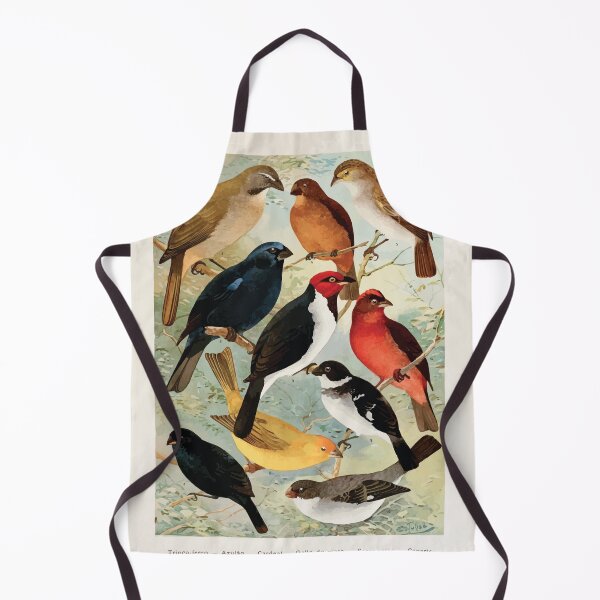 Item preview, Birds of the Amazon Album de aves amazonicas Emil Goldi 1906 045 Trinca ferro Azulao Cardeal Gall do mata Serra serra Canario Colleiro Cigarra designed and sold by WetdryvacRB01.