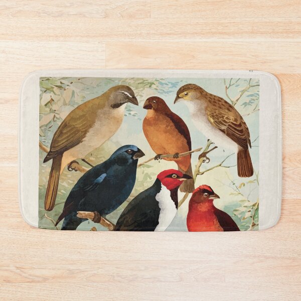 Item preview, Birds of the Amazon Album de aves amazonicas Emil Goldi 1906 045 Trinca ferro Azulao Cardeal Gall do mata Serra serra Canario Colleiro Cigarra designed and sold by WetdryvacRB01.