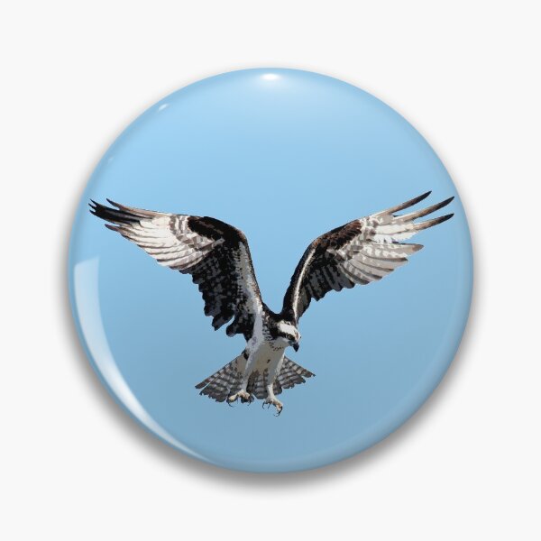 Item preview, Osprey Color Print designed and sold by designsasstultd.