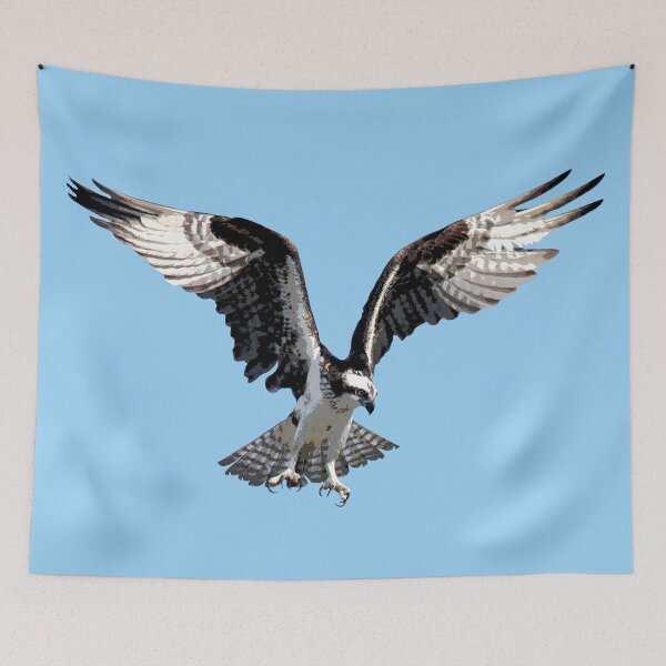 Item preview, Osprey Color Print designed and sold by designsasstultd.