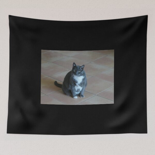 Item preview, Ghi-bli the cat! designed and sold by zoralkia.