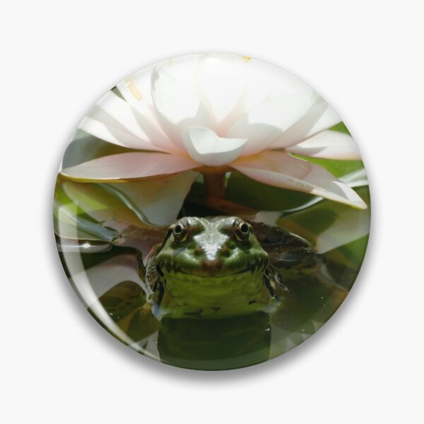 Item preview, Frog Frog designed and sold by zoralkia.