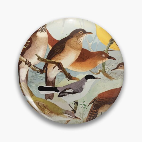 Item preview, Birds of the Amazon Album de aves amazonicas Emil Goldi 1906 046 Carachue Cuti puri i Vo vo Peruinho do campo designed and sold by WetdryvacRB01.