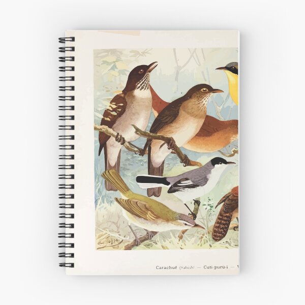 Item preview, Birds of the Amazon Album de aves amazonicas Emil Goldi 1906 046 Carachue Cuti puri i Vo vo Peruinho do campo designed and sold by WetdryvacRB01.