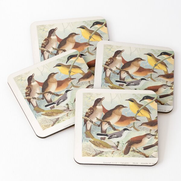 Item preview, Birds of the Amazon Album de aves amazonicas Emil Goldi 1906 046 Carachue Cuti puri i Vo vo Peruinho do campo designed and sold by WetdryvacRB01.