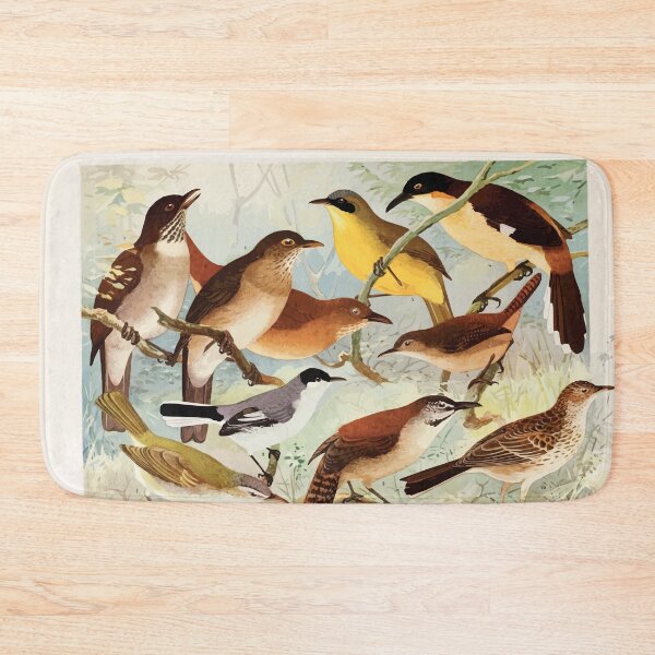 Item preview, Birds of the Amazon Album de aves amazonicas Emil Goldi 1906 046 Carachue Cuti puri i Vo vo Peruinho do campo designed and sold by WetdryvacRB01.
