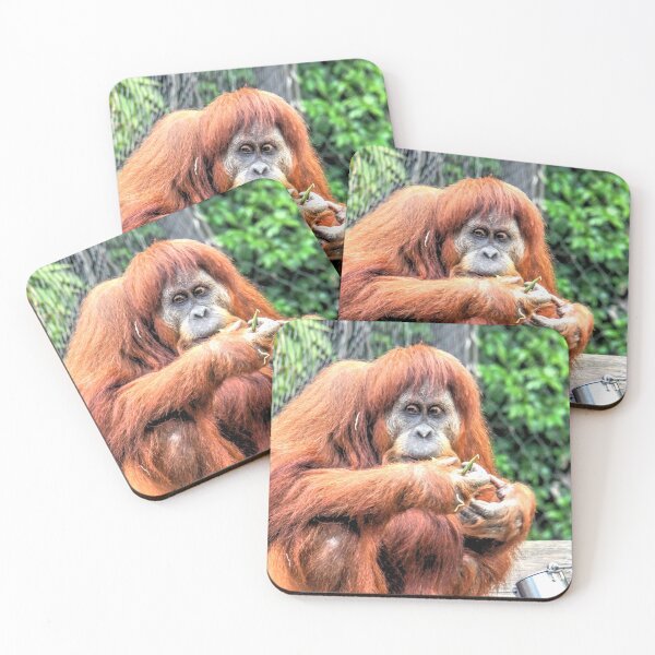 Item preview, The Resting and Contemplating Orangutan designed and sold by Steven Jodoin.