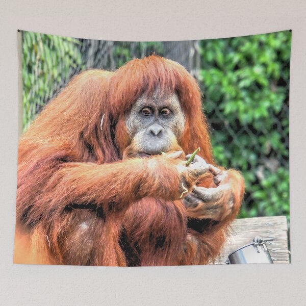 Item preview, The Resting and Contemplating Orangutan designed and sold by Steven Jodoin.