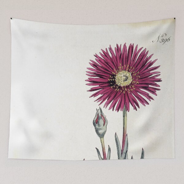 Item preview, Vintage Shewy Fig-Marigold Botanical Print (1797) designed and sold by Douglas E. Welch Design and Photography.