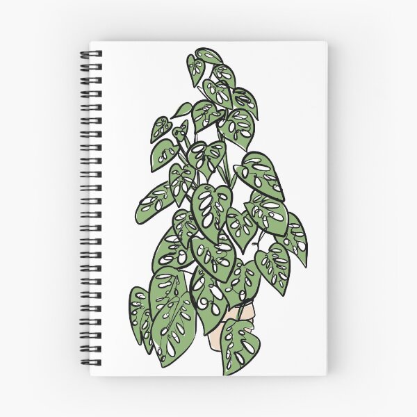 Item preview, Minimalist Monstera Adansonii designed and sold by willowsbunnies.