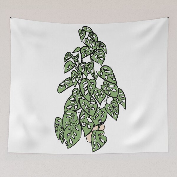 Item preview, Minimalist Monstera Adansonii designed and sold by willowsbunnies.