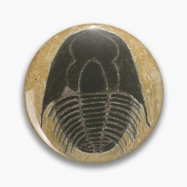 Item preview, Trilobite  designed and sold by amytarleton.
