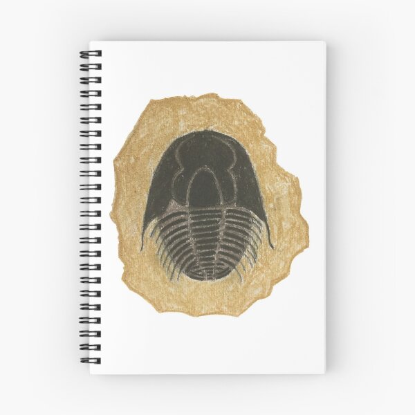 Item preview, Trilobite designed and sold by amytarleton.