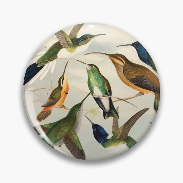 Item preview, Birds of the Amazon Album de aves amazonicas Emil Goldi 1906 047 Beija Flores designed and sold by WetdryvacRB01.