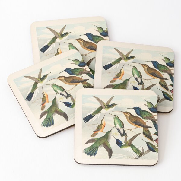 Item preview, Birds of the Amazon Album de aves amazonicas Emil Goldi 1906 047 Beija Flores designed and sold by WetdryvacRB01.
