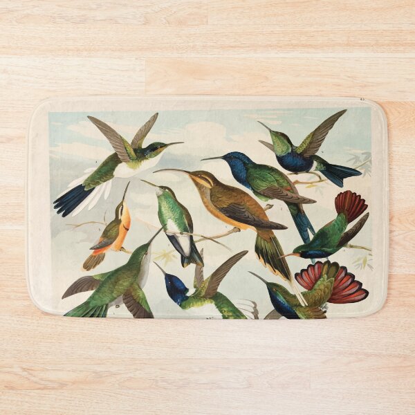 Item preview, Birds of the Amazon Album de aves amazonicas Emil Goldi 1906 047 Beija Flores designed and sold by WetdryvacRB01.