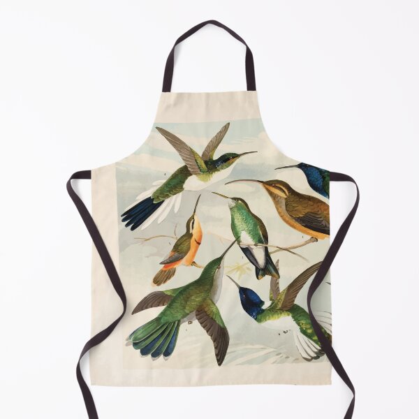 Item preview, Birds of the Amazon Album de aves amazonicas Emil Goldi 1906 047 Beija Flores designed and sold by WetdryvacRB01.