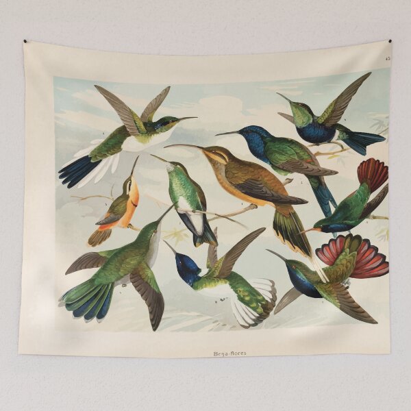 Item preview, Birds of the Amazon Album de aves amazonicas Emil Goldi 1906 047 Beija Flores designed and sold by WetdryvacRB01.