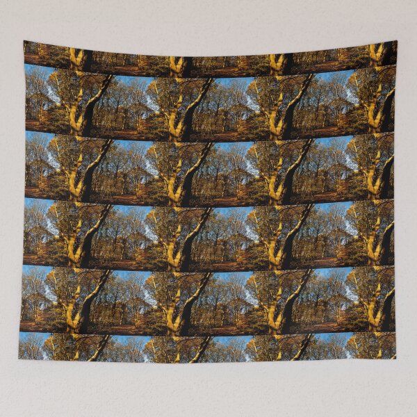 Item preview, Sol de otoño en Plessey Woods designed and sold by Violaman.