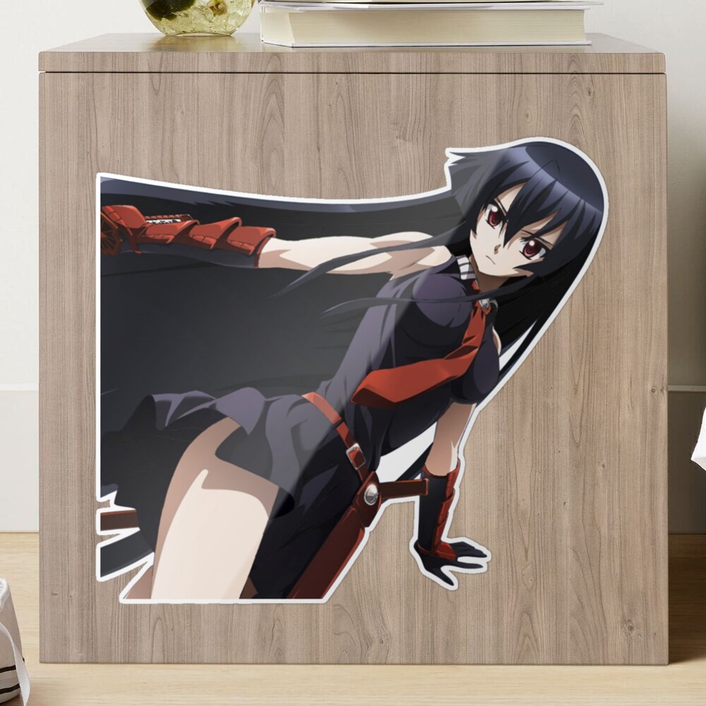 Akame dakimakura clearance