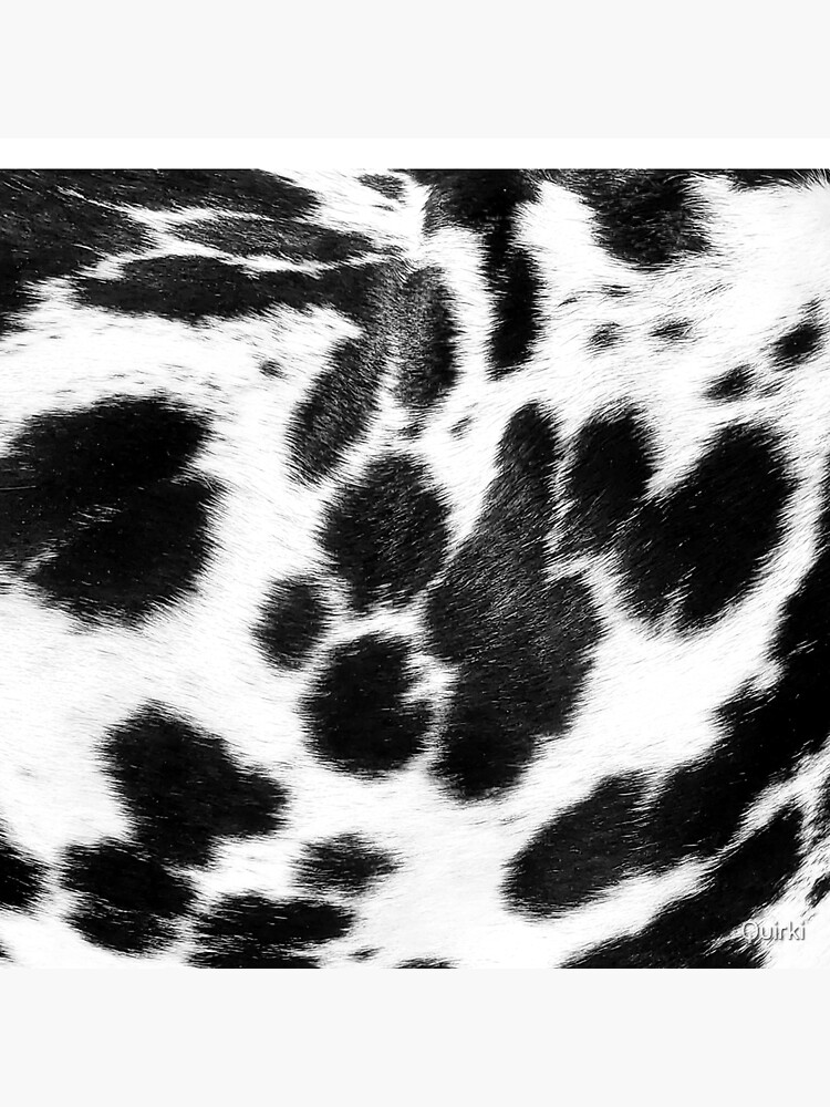 Dalmatian Faux Fur