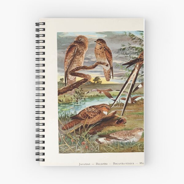 Item preview, Birds of the Amazon Album de aves amazonicas Emil Goldi 1906 048 Jurutaui Bacurau Bacurau tesora Mede legoas Bacurau branco das praias designed and sold by WetdryvacRB01.