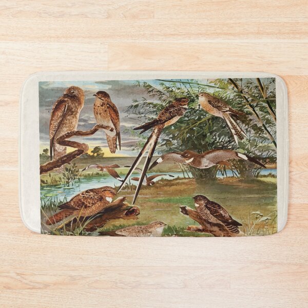 Item preview, Birds of the Amazon Album de aves amazonicas Emil Goldi 1906 048 Jurutaui Bacurau Bacurau tesora Mede legoas Bacurau branco das praias designed and sold by WetdryvacRB01.