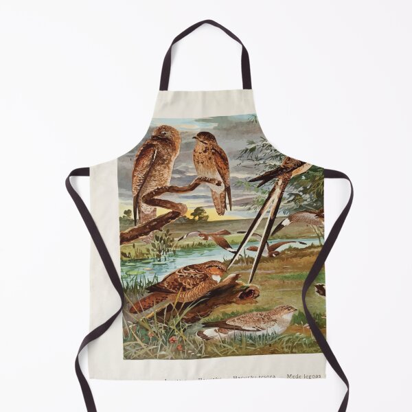Item preview, Birds of the Amazon Album de aves amazonicas Emil Goldi 1906 048 Jurutaui Bacurau Bacurau tesora Mede legoas Bacurau branco das praias designed and sold by WetdryvacRB01.