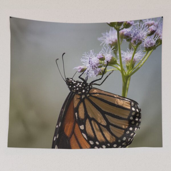 Item preview, Upside Down designed and sold by Jacquelie.