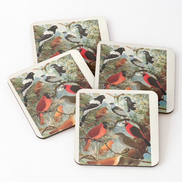 Item preview, Birds of the Amazon Album de aves amazonicas Emil Goldi 1906 049 Tie tinga Pipira Cri cri o Ioao de barro Gallo da serra Pavao do mato designed and sold by WetdryvacRB01.