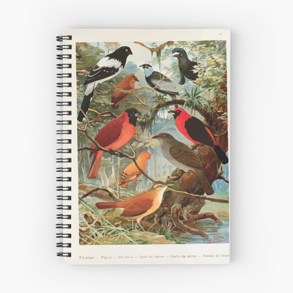 Item preview, Birds of the Amazon Album de aves amazonicas Emil Goldi 1906 049 Tie tinga Pipira Cri cri o Ioao de barro Gallo da serra Pavao do mato designed and sold by WetdryvacRB01.