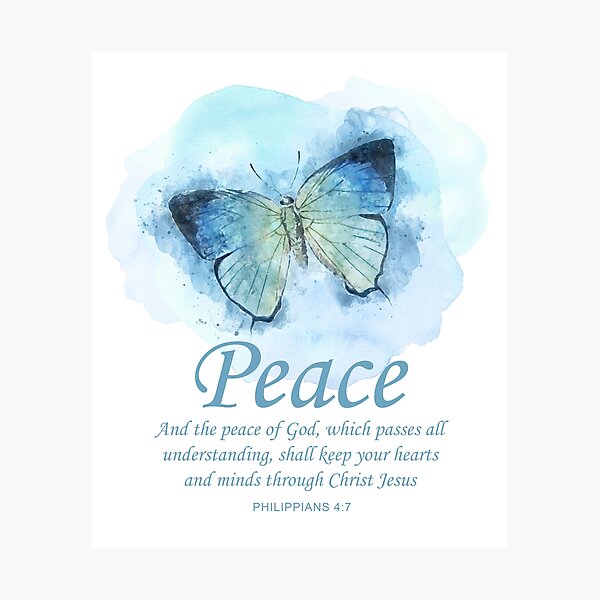 Un Conjunto De Pegatinas De Pared De Flores De Mariposa Románticas, Calcomanías De Pared Para Salas De Estar Dormitorios Oficinas Decoracion De Pared Jamw Sencillez