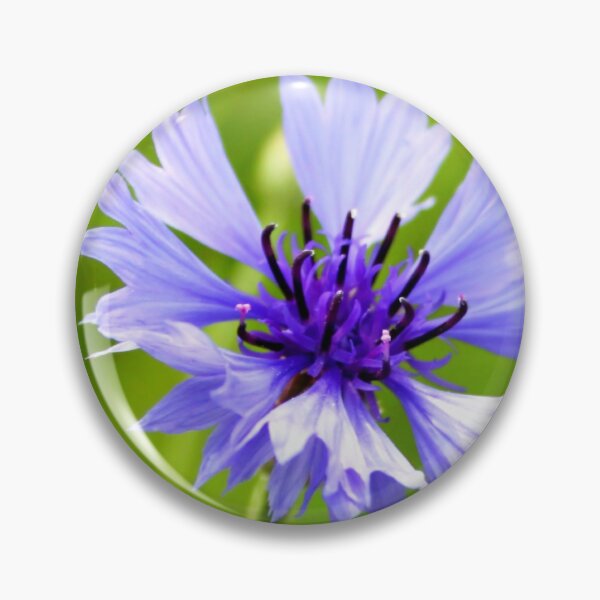 Item preview, Cornflower in Green designed and sold by Jo Nijenhuis.