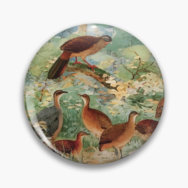 Item preview, Birds of the Amazon Album de aves amazonicas Emil Goldi 1906 050 Jacu Aracua Inhambus diversos Suruina Uru Capoeira designed and sold by WetdryvacRB01.