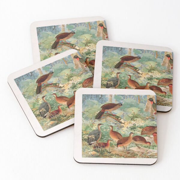 Item preview, Birds of the Amazon Album de aves amazonicas Emil Goldi 1906 050 Jacu Aracua Inhambus diversos Suruina Uru Capoeira designed and sold by WetdryvacRB01.