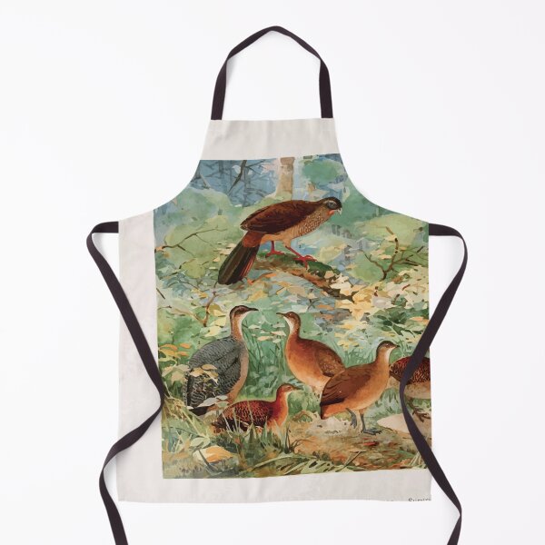 Item preview, Birds of the Amazon Album de aves amazonicas Emil Goldi 1906 050 Jacu Aracua Inhambus diversos Suruina Uru Capoeira designed and sold by WetdryvacRB01.